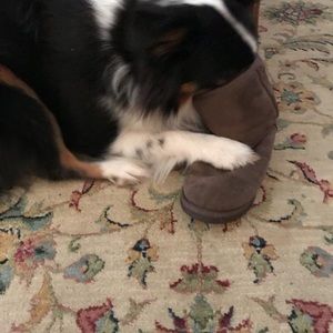 Meet your Posher, Ann